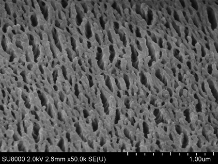 Plasma nanostructured anti-reflective surface (SEM image)